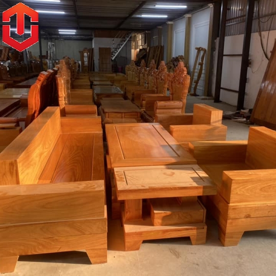 SALON ĐỐI TRỨNG GÕ ĐỎ - Ảnh 2